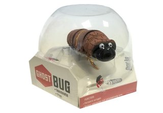 GĄSIENICA NA PODCZERWIEŃ OMIJA PRZESZKODY BRĄZOWA