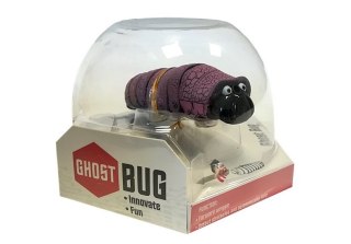 GĄSIENICA NA PODCZERWIEŃ OMIJA PRZESZKODY FIOLETOWA