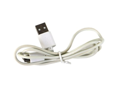 LAMPKA JAJKO DINOZAUR PTEROZAUR LED MICRO USB