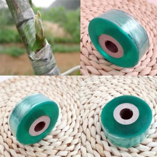 TAŚMA DO OKULIZACJI - PROFESJONALNE I BEZPIECZNE SZCZEPIENIA ROŚLIN