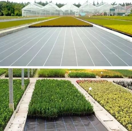 AGROTKANINA CZARNA 160 CM x50M UV 90G ANTYCHWASTOWA AGROWŁÓKNINA + KOTWY