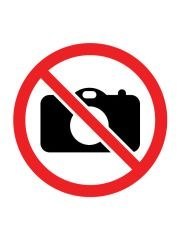 WILKOŁAKI HARRY POTTER